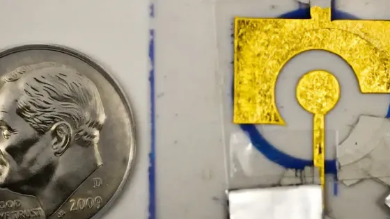 b7490cb5-2542-4219-88f2-e327067f4169