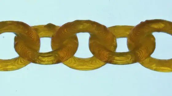 7947e17c-b410-44b7-8774-6e31c46f09cc