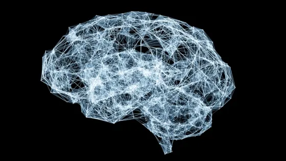 d41586-025-02095-8_51169002