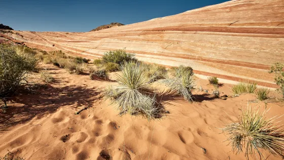 sunny-scenery-valley-fire-state-park-nevada-usa