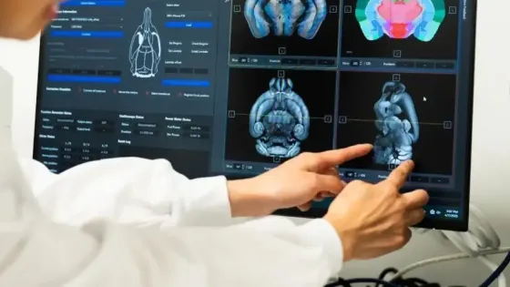 2b89f6c1-2b3e-4532-9846-cbaa547aba2e