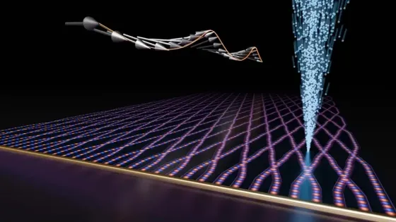 892cc1c4-7441-4b52-9ab9-952d16de7bc3