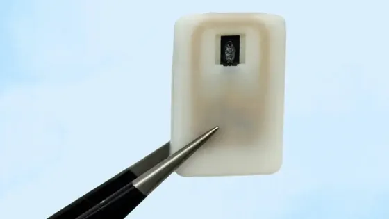 5f642b80-96b2-4ff5-9c78-c55eb1fc25a3