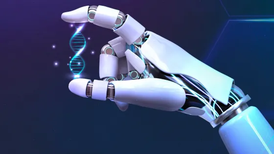 01K09ETG8M1DRX9J9WTXBNKJWP-v1