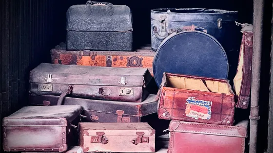 debra-fisher-33MMA51_Qbg-unsplash