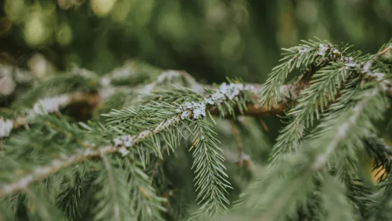 julia-zyablova-PD7hN4QkuMs-unsplash