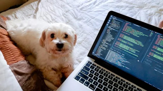 jorge-rosal-IGfoMhQhtwo-unsplash