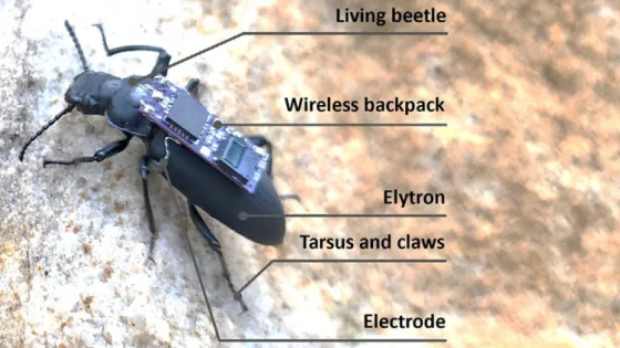 6876ef230aa9b_img_tablet