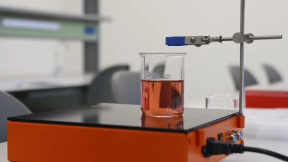 149991_baltphotoveronika_ovsyannikova