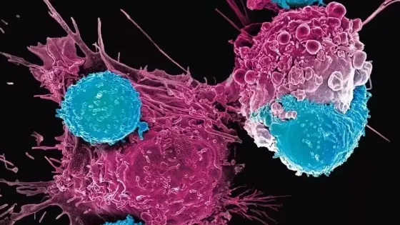 0cb45822-42c0-4e9a-a76f-eb16dcc0e463