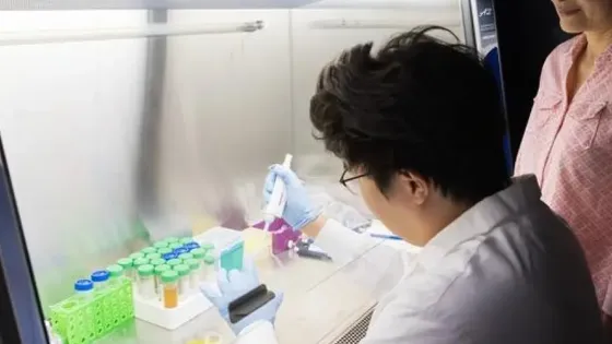 cedd674a-1541-415c-b61f-687fe2031dda