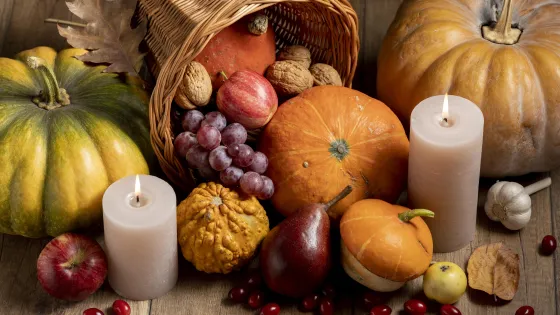 cornucopia-arrangement-with-delicious-foods