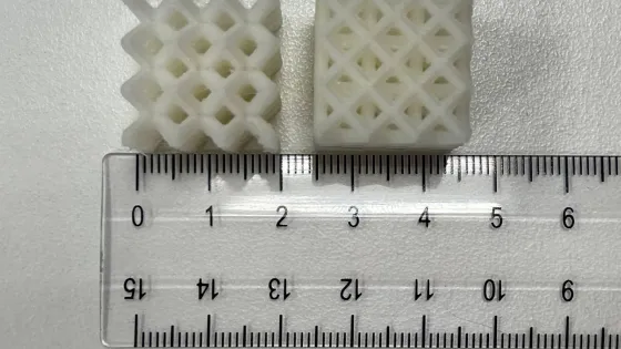 obraztsy-polilaktida