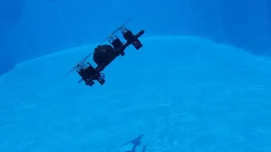 a6d23a5c-dad0-42c9-99de-d9d5e1960722