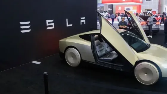 cad8d747-a336-4e77-a4f0-6e5b08b095c4