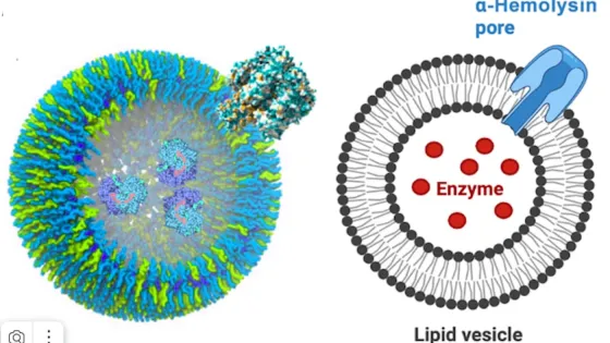 Snimok-ekrana-2025-07-28-v-00.03.28