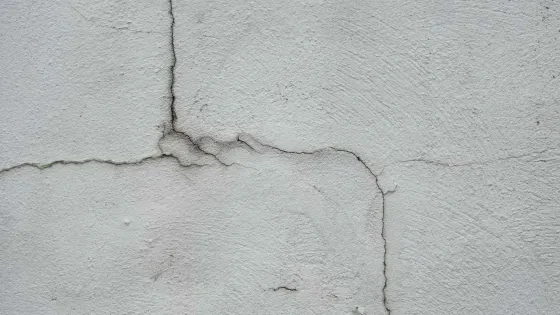 avtor-Robert-Zunikoff-istochnik-Unsplash