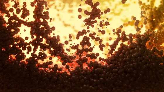 AQA4N9ZxCN3bTKrgsGT6AuJ7SOOvCuVyM7H51jUjVyclZYYypjZTxBFSB31GBW0AfTOt7kTlyVVrcyF1on1P3Gf9IkY