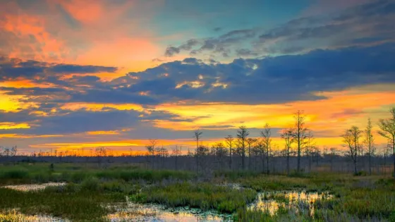 photo_2025-07-29_10-38-32