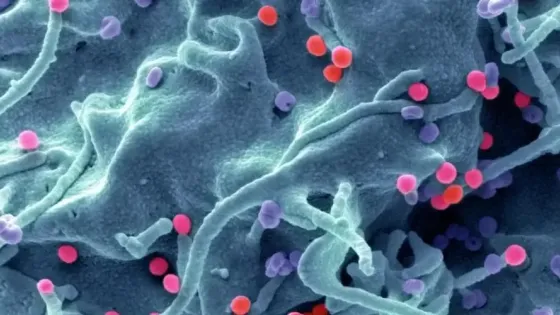 fe6bd6c1-496d-49cf-a2aa-a96298fffa8d