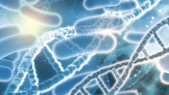 dna-bacterias_1048-2332-v1