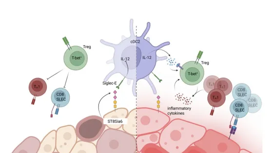 6890adeed69e1_img_desktop