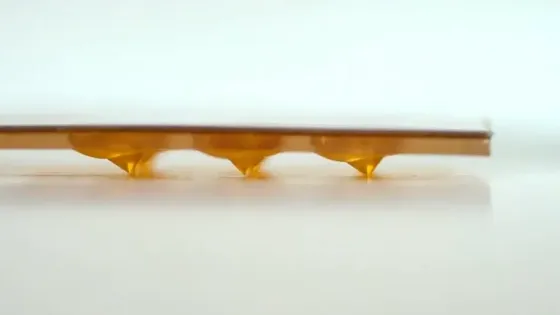 9d53eeb4-e03a-416b-98f7-4cd91a959c71