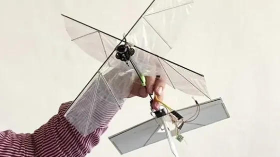 c950b36a-8e80-44a0-b2b8-8c3ab531a265