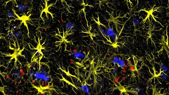 689321c400eee_img_desktop