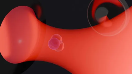 image.imageformat.carousel.269457605