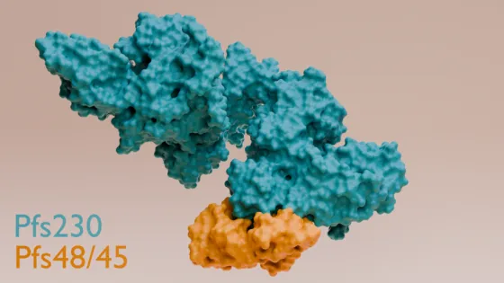 689436877764d_img_desktop