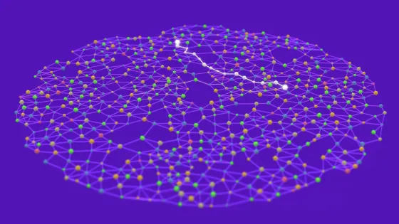 Снимок экрана 2025-08-11 в 22.19.52