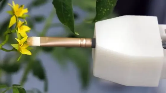 813f3766-a1f6-46e2-a99b-4c37914fccbb