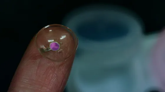 images_000105__images_000105_photo5-v1