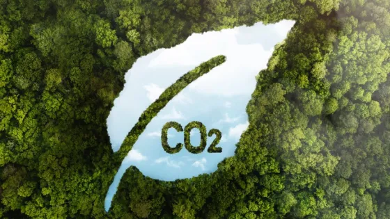 01K2QMQFVHX6APV0SZBEPVVB1S-v1