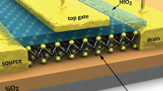 90f90c15b7c69a15639711dba971beb1-v1