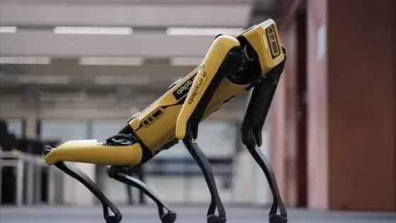 01K2Z4MKDJQQVAPZZ5RN2KXEZ4-v1