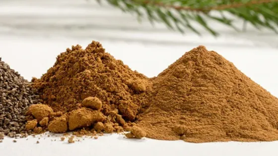 01K31QWN65CP8SHHJB036HVE34-v1