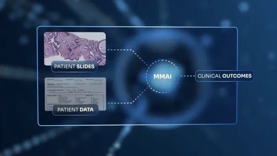 Снимок экрана 2025-08-19 в 21.54.14