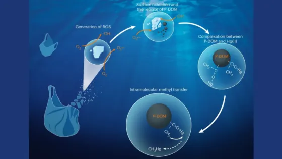 68a3132e537f6_img_tablet