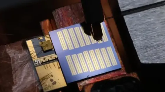 1ead9f2c-e9ec-4253-8e7e-f19baeace0dc