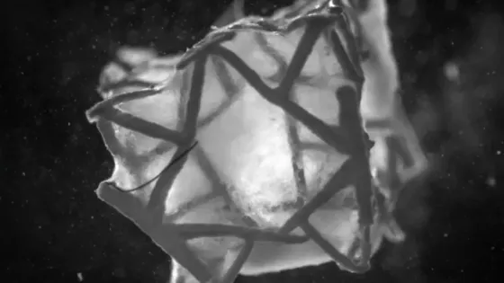 bf292f65-dc13-4eb7-9f6c-d5c7a3dc078a