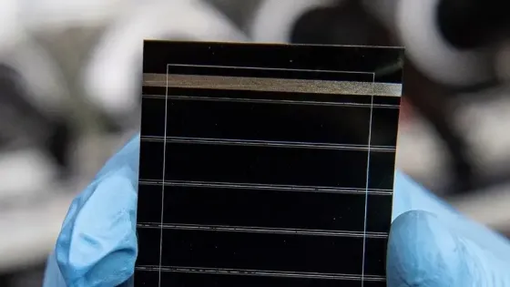 6b6680da-0a0f-438d-bb6f-3c7c4aea100d