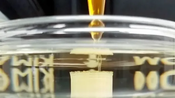 79492421-8a17-472f-92fe-1acaf5b623aa