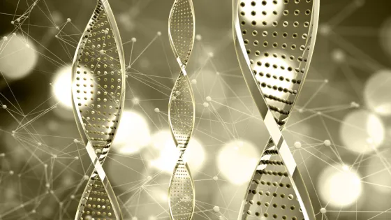 01K3RY6XY03T4ZK7AKC9H2XEPN-v1