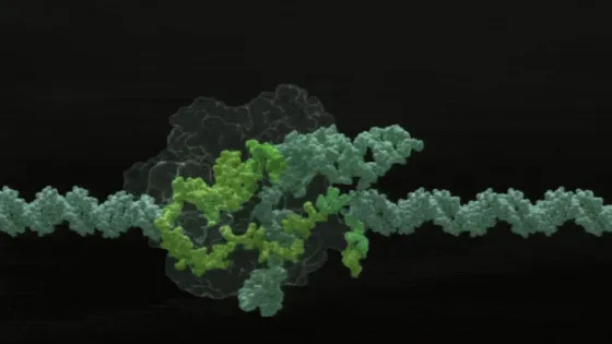 Снимок экрана 2025-08-29 в 23.37.41