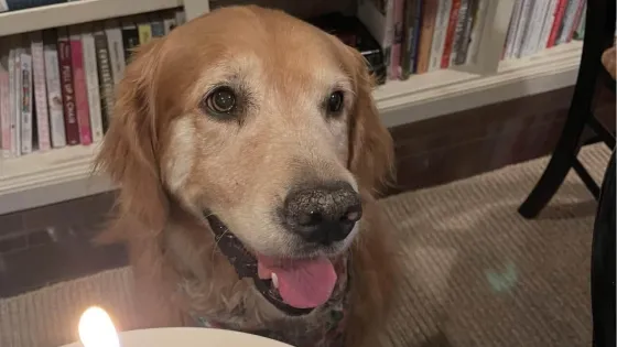 01K43AFQ87PS64HPKQVBMXPBBK-v1