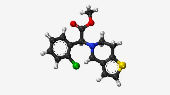 68b595df16696_img_desktop