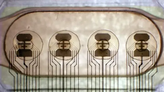 73b03bfd-224f-410a-9433-554fb726c732