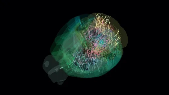 first-brain-wide-map-o